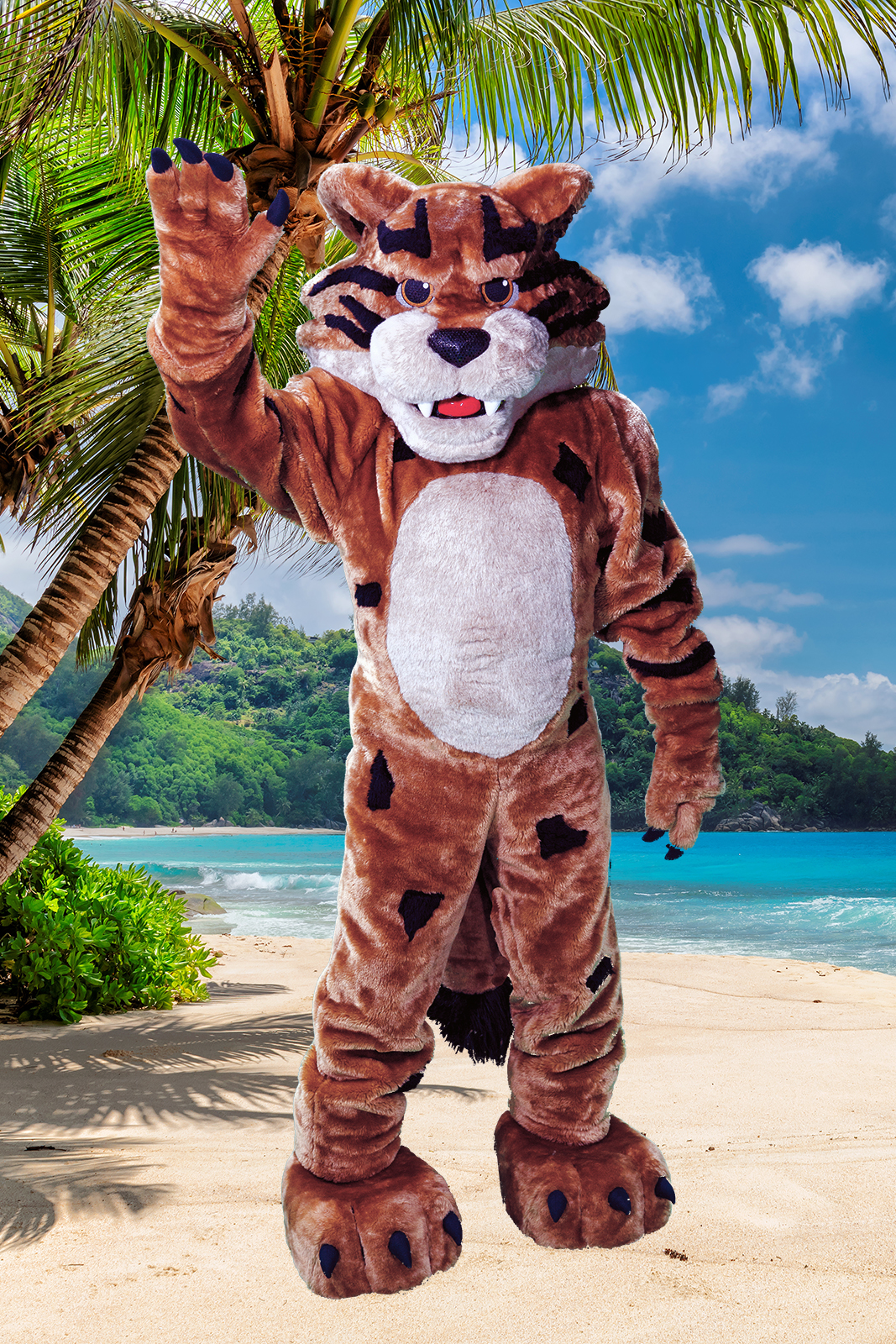 Mascot on beach